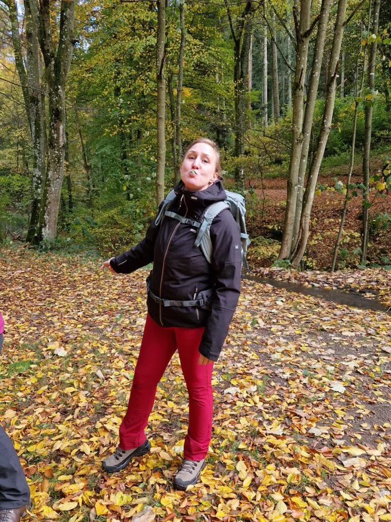 Bild_2026-03-05_152746484